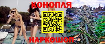 a pvp Жуковский