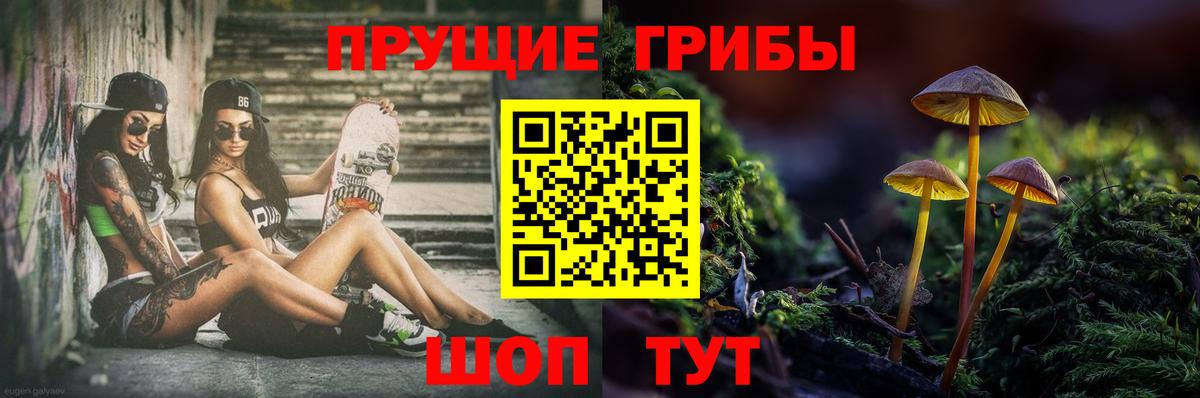 Псилоцибиновые грибы MAGIC MUSHROOMS Лысьва